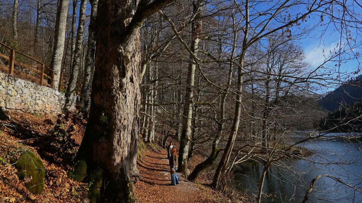 Δραστηριότητες για Όλη την Οικογένεια